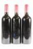 (3) 1996 Ata Rangi Celebre, Martinborough - 3