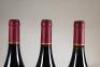 (3) 1996 Ata Rangi Pinot Noir, Martinborough - 4