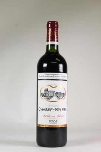 (1) 2009 Chateau Chasse-Spleen, Haut Medoc