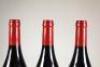 (3) 2015 Devotus Pinot Noir, Martinborough - 5