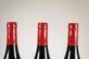 (3) 2017 Devotus Reserve Pinot Noir, Martinborough - 5
