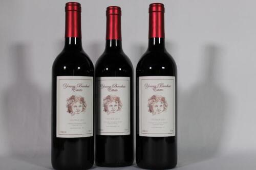 (3) 2013 Young Bacchus Estate Cabernet Sauvignon/Merlot/Franc, Martinborough