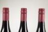 (3) 2015 Calrossie Vineyard Pinot Noir, Marlborough - 7