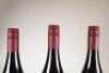 (3) 2007 Howell Family Vineyard Cabernet Franc 1500ml, Hawkes Bay - 7