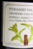 (2) 2009 Howell Family Vineyard Cabernet Franc 1500ml, Hawkes Bay - 3