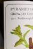 (1) 2011 Kerner Estate Vineyard Pinot Blanc, Marlborough - 3