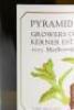 (1) 2015 Kerner Estate Vineyard Pinot Blanc, Marlborough - 4