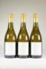 (3) 2010 Moteo Ridge Vineyard Chenin Blanc, Hawkes Bay - 4