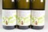 (3) 2009 Riverbrook Vineyard Riesling, Marlborough - 2