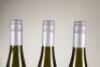 (3) 2009 Riverbrook Vineyard Riesling, Marlborough - 6