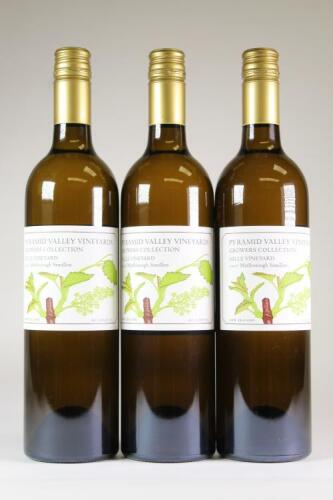 (3) 2007 Hille Vineyard Semillon, Marlborough