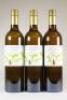 (3) 2007 Hille Vineyard Semillon, Marlborough