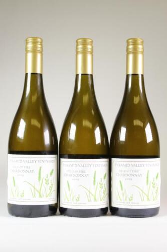 (3) 2009 Field of Fire Chardonnay, Waikari