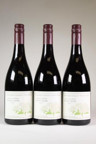 (3) 2010 Angel Flower Pinot Noir, Waikari
