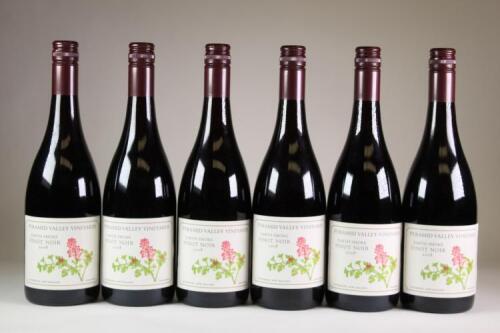 (6) 2008 Earth Smoke Pinot Noir, Waikari