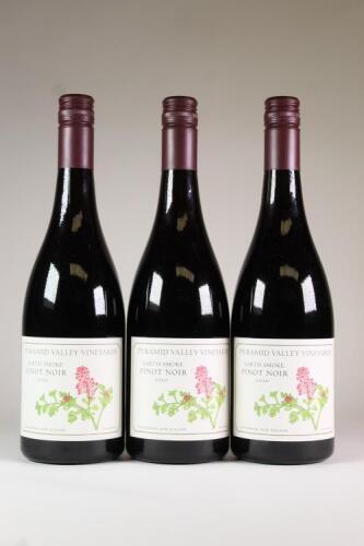 (3) 2010 Earth Smoke Pinot Noir, Waikari