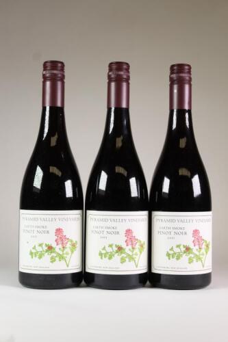 (3) 2011 Earth Smoke Pinot Noir, Waikari