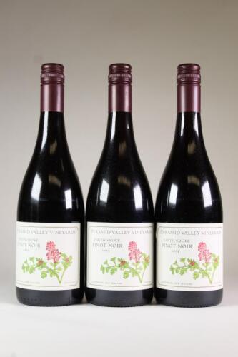 (3) 2013 Earth Smoke Pinot Noir, Waikari