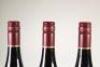 (3) 2014 Ata Rangi Pinot Noir, Martinborough - 5