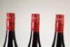 (3) 2012 Two Paddocks The Last Chance Pinot Noir, Earnscleugh - 6