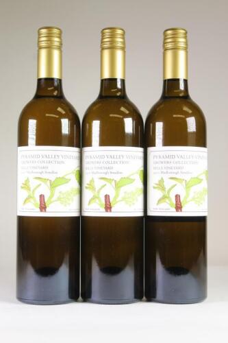 (3) 2007 Pyramid Valley Vineyards Hille Vineyard Semillon, Marlborough