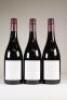 (3) 2010 Pyramid Valley Vineyards Angel Flower Pinot Noir, Waikari - 4