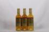 (3) 2009 Chateau Rayne Vigneau 375ml