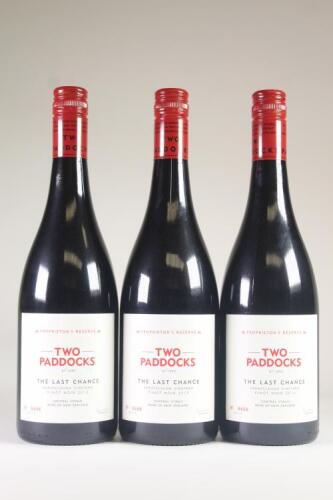(3) 2013 Two Paddocks The Last Chance Pinot Noir, Earnscleugh