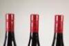 (3) 2017 Two Paddocks The First Paddock Pinot Noir, Gibbston - 6