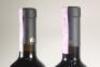 (2) 2005 Paolo Scavino Carobric Barolo, Piedmont - 5