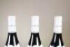 (12) 2012 Domaine Dugat-Py Cuvee Coeur de Roy Tres Vieilles Vignes Gevrey Chambertin, Cotes de Nuits - 10