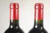 (6) 2005 Chateau de Fonbel, St Emilion - 5