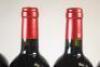 (6) 2005 Chateau de Fonbel, St Emilion - 6