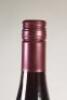 (1) 2009 Pyramid Valley Vineyards Cowley Family Vineyard Pinot Noir 1500ml, Marlborough - 6