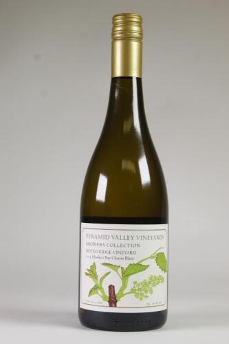 (1) 2013 Pyramid Valley Vineyards Moteo Ridge Vineyard Chenin Blanc, Hawkes Bay