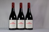 (3) 2011 Two Paddocks First Paddock Pinot Noir, Gibbston