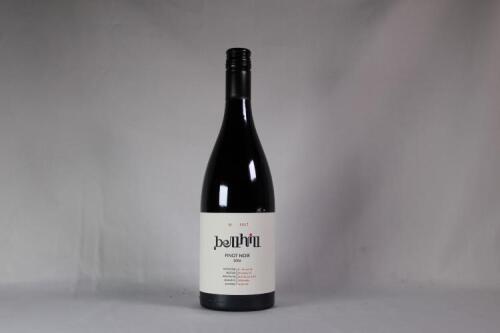 (1) 2006 Bell Hill Pinot Noir, Canterbury