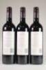 (3) 2010 Newton Forrest Cornerstone, Gimblet Gravels - 3