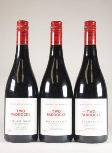 (3) 2013 Two Paddocks The Last Chance Pinot Noir, Earnscleugh