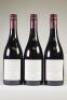 (3) 2013 Pyramid Valley Vineyards Earth Smoke Pinot Noir, Waikari - 3