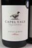 (4) 2019&nbsp;Capel Vale Regional Series Shiraz, Mt Barker WA * - 2