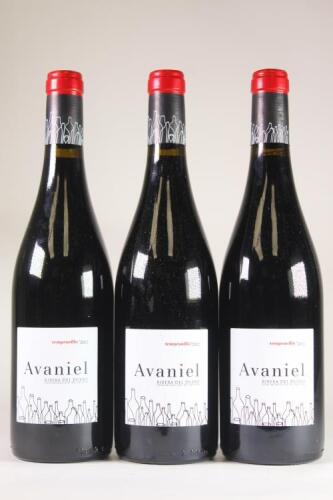 (3) 2012 Monteabellon Avaniel Tempranillo, Ribera del Duero