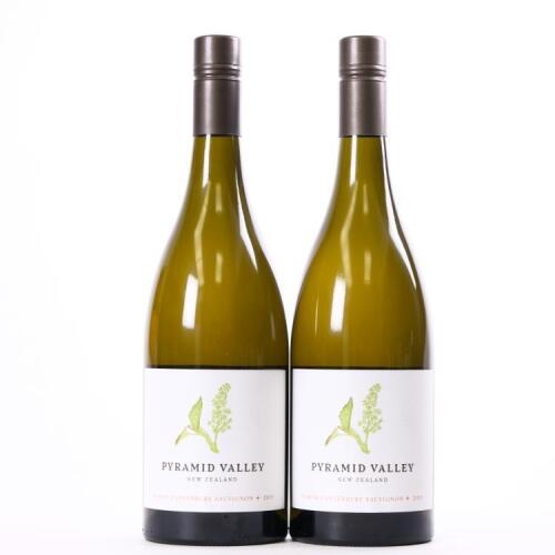 (2) 2019 Pyramid Valley Sauvignon +, North Canterbury