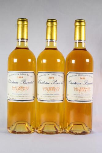 (3) 2009 Chateau Broustet