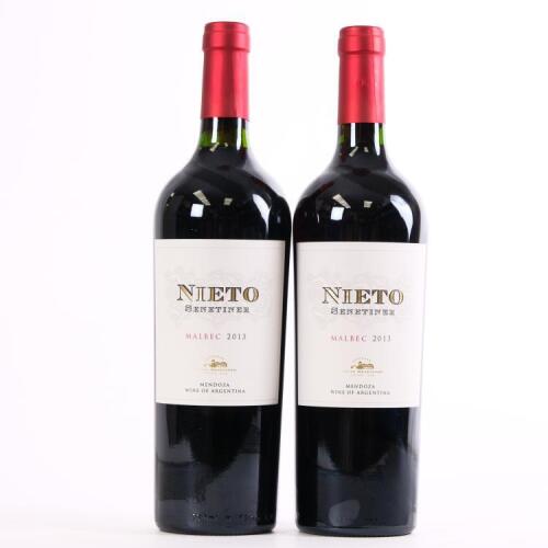 (2) 2013 Nieto Malbec, Lujan de Cuyo Argentina