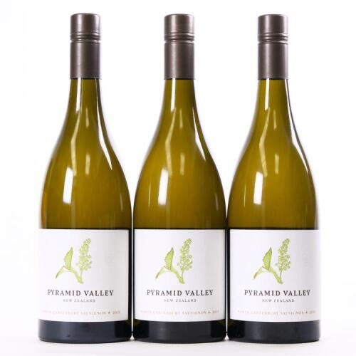 (3) 2019 Pyramid Valley Sauvignon +, North Canterbury