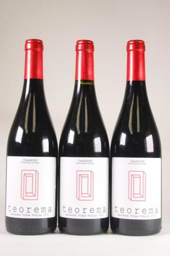 (3) 2010 Bodegas y Vinedos del Jalon Castillo de Maluenda 'Teorema' Garnacha Vinas Viejas, Calatayud