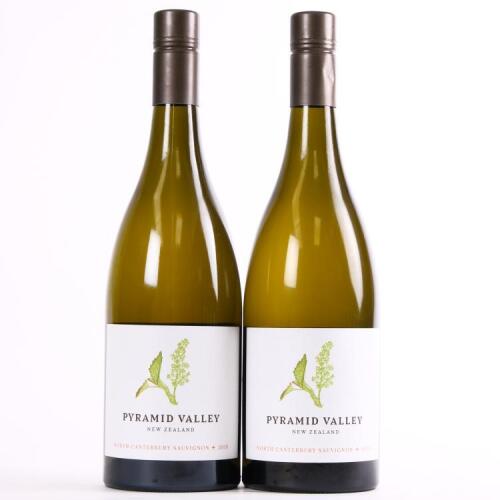 (2) 2019 Pyramid Valley Sauvignon +, North Canterbury