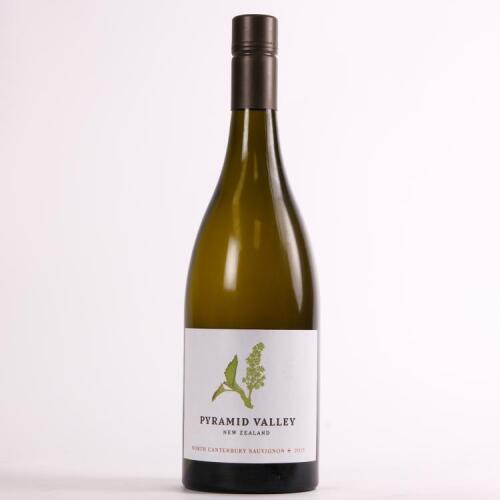(1) 2019 Pyramid Valley Sauvignon +, North Canterbury