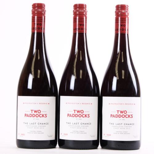 (3) 2012 Two Paddocks The Last Chance Pinot Noir, Earnscleugh